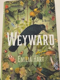 Cover of Weyward
