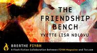 Cover of The Friendship Bench by Yvette Lisa Ndlovu