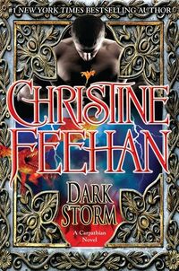 Cover of Dark Storm by Christine Feehan