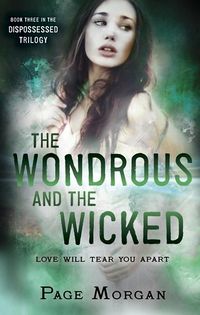 Cover of The Wondrous and the Wicked by Page Morgan