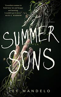 Cover of Summer Sons by Lee Mandelo
