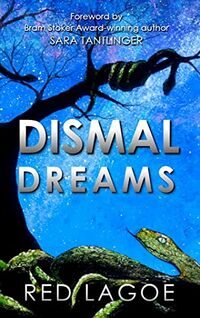 Cover of Dismal Dreams by Red Lagoe