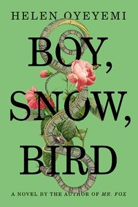 Cover of Boy, Snow, Bird by Helen Oyeyemi