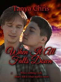 Cover of When It All Falls Down by Tanya Chris