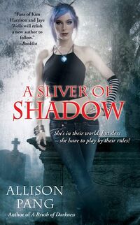 Cover of A Sliver of Shadow by Allison Pang