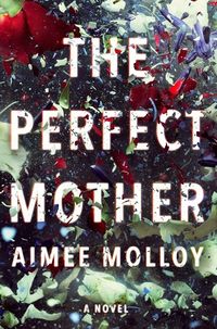 Cover of The Perfect Mother by Aimee Molloy