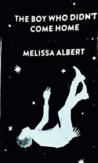 Cover of The Boy Who Didn't Come Home by Melissa Albert
